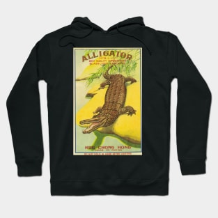 VINTAGE FIRECRACKER ALLIGATOR Hoodie